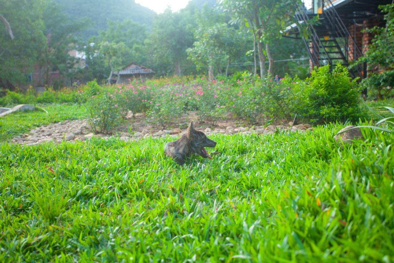 Phong Nha Bolero Bungalow Pokoj fotografie