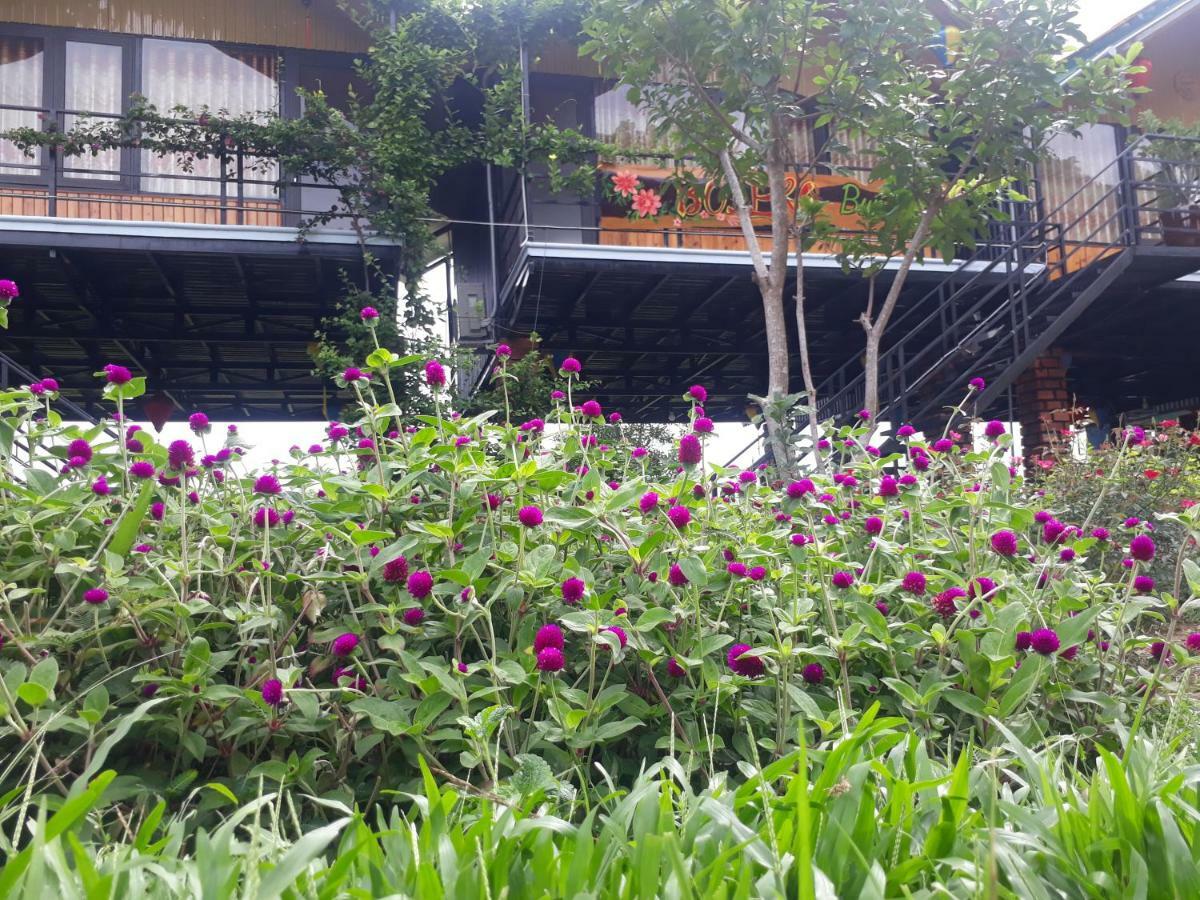 Phong Nha Bolero Bungalow Exteriér fotografie